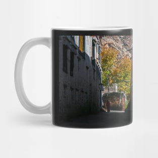 Alley. Sera Monastery, Tibet. Mug